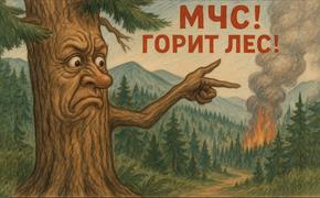 В Ялте унюхивать дым в лесах будет компьютерный разум