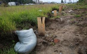 В Петербурге оценивают ущерб от сброса стоков в Муринский ручей