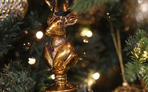 Стоимость новогоднего украшения Павловска составит 3 млн рублей