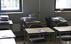 В России приехавшей из Латвии русской девочке отказали в зачислении в школу