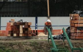 Будущее проектов петербургского «Геозила» зависит от решения суда