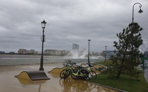 МЧС предупредило об усилении ветра в Петербурге до 18 метров в секунду