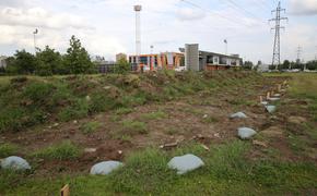 Популяцию рыбы в Муринском ручье восстановят после аварии в 2026 году