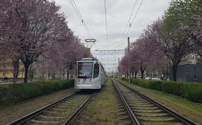 Директор МУП «КТТУ» объяснил, чем чревата езда на крыше трамвая