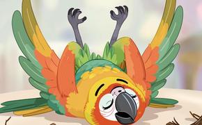 «Подозрительная выпуклость»: мужчина пытался провезти в трусах попугая