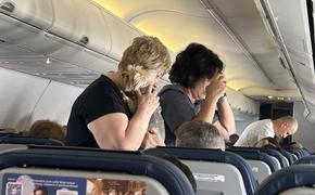 Авиакомпания «Уральские авиалинии»  опровергла информацию о задымлении в Пулково