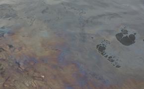 В Петербурге возбудили уголовное дело о загрязнении реки Охты