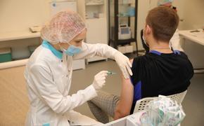 Больше половины петербуржцев сделали прививку от гриппа