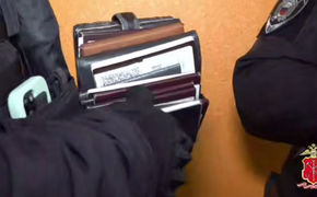 Полиция провела рейд в хостеле Репино и проверила 250 мигрантов