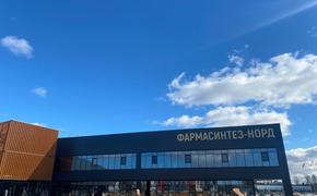 Объем инвестиций в ОЭЗ Петербурга вырос более чем в три раза