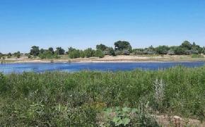 «Ну не смогла я, не смогла» ... В Астраханской области чиновники попытались провернуть сомнительную операцию с государственной землёй