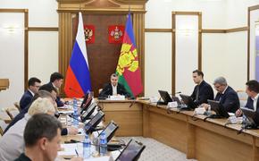 В систему предварительного рассмотрения закупок входит 29 групп произведенных на Кубани товаров