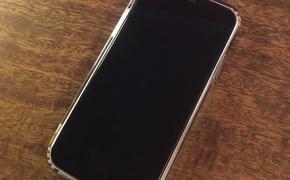 Axios: Уиткофф и Кушнер зачитывали Зеленскому план США по Украине по телефону