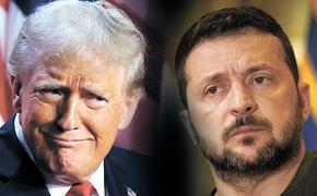 Зачем «хвост задумал вилять собакой»