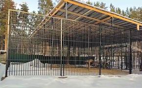 У медведей в Улан-Удэ новые дома