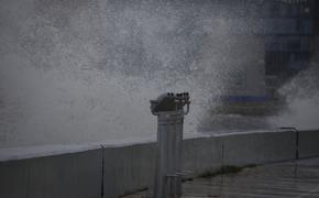 Спасатели предупредили петербуржцев о штормовом ветре в пятницу