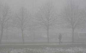 Утром в четверг Петербург накроет туман