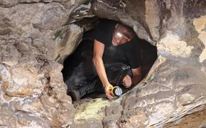 Челябинская область может стать главной изобразительной кузницей эпохи палеолита