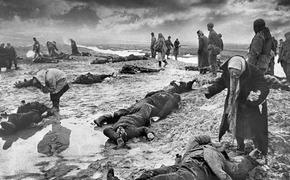 Багеровский ров: самое кровавое преступление на советской земле