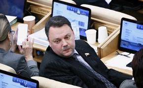 Что ждет самозанятых и ИП в ближайшие годы по словам депутатов Госдумы?