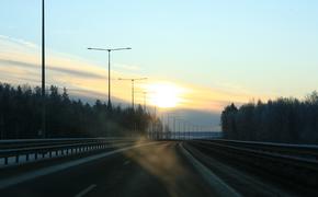 Пешеход погиб на автодороге во Всеволожском районе Ленобласти