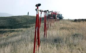 Под Феодосией высадили лес на месте пожара шестилетней давности