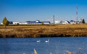 Благодаря нефтепроводчикам рыбы прибавилось