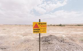 После СВО придётся разминировать 250 тыс. кв. км за 100 лет