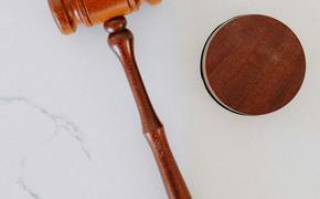 Верховный суд РФ привлек дочь и внучку Долиной к спору по продаже ее квартиры