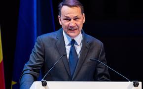 Сикорский: Зеленскому стоило бы запросить встречу с президентом Польши Навроцким