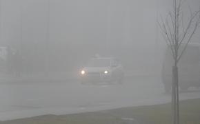 Водителей Петербурга просят соблюдать осторожность из-за тумана на выходных