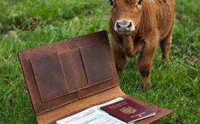 Башкирский фермер разделал корову и нашёл внутри кошелёк