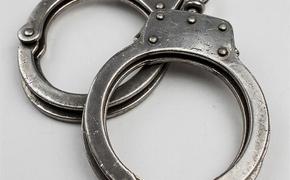 ФСБ: агенты ГУР Боцман и Мацюца пытались похитить в России сына бывшего коллеги