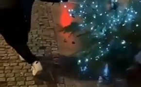 Миссия – ликвидировать мишуру: как беженец стал Гринчем в реальной жизни