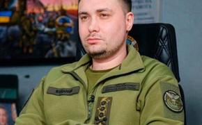 Economist: офис Зеленского может возглавить глава ГУР Буданов*