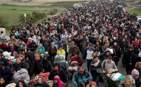 С 1 марта 2026 года регионы смогут влиять на увольнение иностранцев