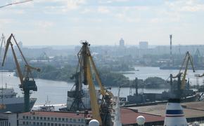 В порту Петербурга в табачном сырье из Бразилии нашли муху-горбатку