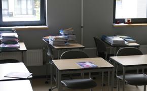 Двоим в Петербурге предъявили обвинения по делу о нападении в школе