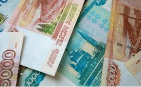 Соцфонд обещает к 2028 году пособие при рождении ребёнка в размере 31 тысячи рублей