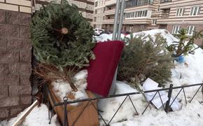 Петербуржцы пожаловались на скопление мусора перед новогодними праздниками