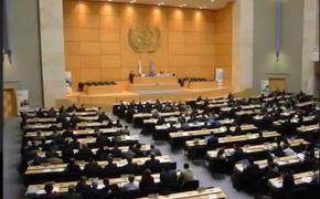 СБ ООН принял резолюцию по химическому оружию в Сирии