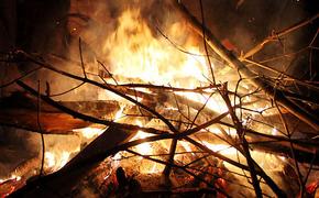 В Новгородской области молодая женщина заживо сгорела в костре
