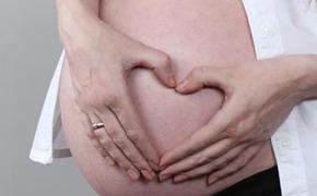 Госдума рассмотрит «монетизацию» питания для беременных женщин