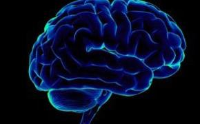 Мозг с годами начинает ржаветь - ученые