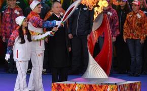 ОНФ пожалуется на гаснущий олимпийский огонь в Следственный комитет
