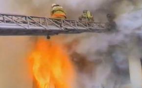 На Ириновском тушили пожар на площади 2500 квадратных метров