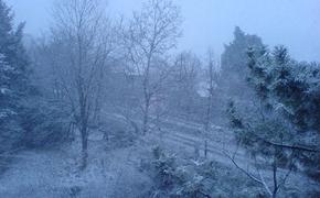 Центральную Европу неожиданно замело снегом