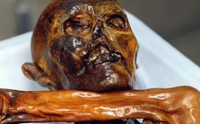 У 5300-летнего «ледяного человека» Отци нашлись живые родственники