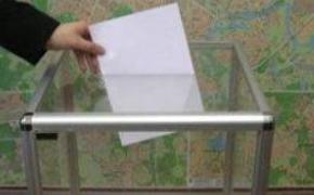 Редкий избиратель явился на досрочные выборы мэра Томска