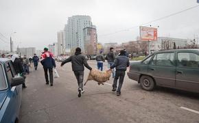 Принесение в жертву барана во дворе многоэтажки обернулось уголовным делом